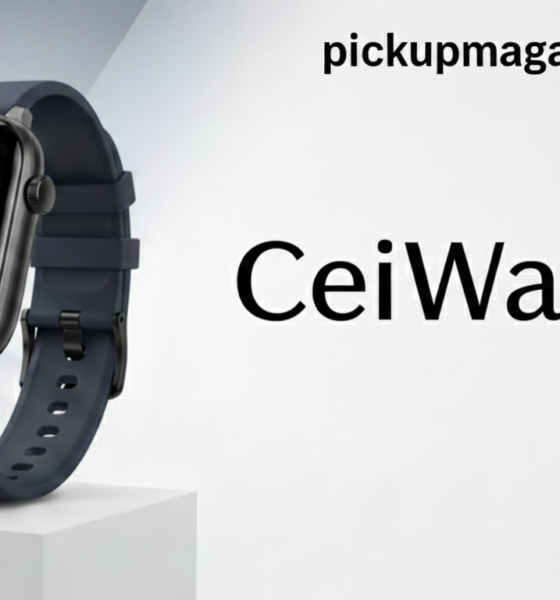 Ceiwatch