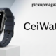 Ceiwatch